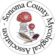 Sonoma County Mycological Association (SOMA)'s logo