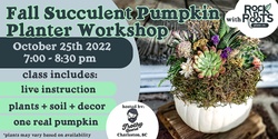 Banner image for Fall Succulent Pumpkin Planter Workshop at Frothy Beard Brewing Company (Charleston, SC)
