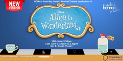 Banner image for Alice Jr: PiPs and FiPs Junior Students