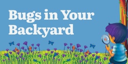Banner image for Bugs in Your Backyard