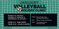 Banner image for Terrace Volleyball January Holiday Clinic