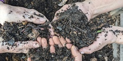 Introduction to Composting 