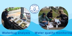 Banner image for Deakin Waterwatch Invertebrate Analysis Session