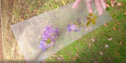 Banner image for Make Your Own Jacaranda Bookmark with UQ Handcraft and Art Club