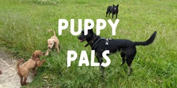 Banner image for Puppy Pals