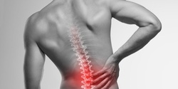 Banner image for Back Pain: Anatomy, Common Pathologies and Management strategies   