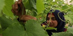 Banner image for Food Sovereignty in Palestine - a follow up to Gaza Campaign