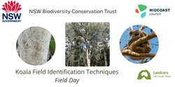 Banner image for Koala Field ID Techniques