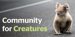 Banner image for Community for Creatures - Family Nature & Art Event