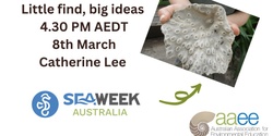 Banner image for SeaWeek Learning Circle - Little find, big ideas by Catherine Lee 