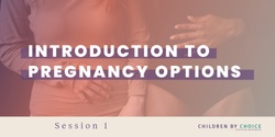 Banner image for Introduction to Pregnancy Options