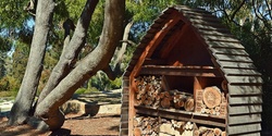 Banner image for Workshop: Build a Bee Hotel with Tracey Bool
