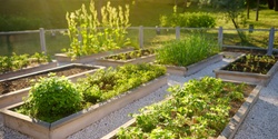 Banner image for Wicking Beds in Small Spaces