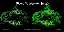 Banner image for Ghost Mushroom Tours June