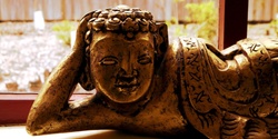 Banner image for Insight Meditation one-day workshop - online