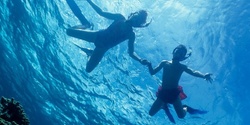Banner image for Snorkelling at Gordons Bay - Intermediate 