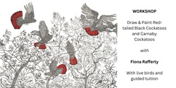 Banner image for Workshop: Draw & Paint Red-tailed Black Cockatoos and Carnaby Cockatoos