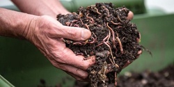 Banner image for Online Composting and Worm farming workshop