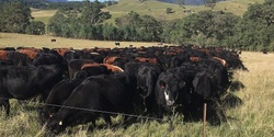 Banner image for Building Resilient Farming Systems - Revisiting 1 Year On - Evandale