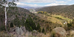 Banner image for Cooma North Ridge Preparing for Fire and Biodiversity Workshop