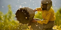 Banner image for Honeyland  - film discussion 