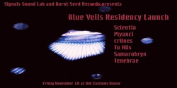 Banner image for Blue Veils
