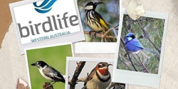 Banner image for Birdlife WA Talk and walk through Eric Singleton Bird Sanctuary