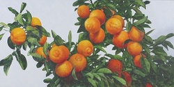 Banner image for Lunch Society - Unlemon: A Meandering Tale of Citrus