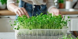 Banner image for PACE Workshop - Growing Microgreens  