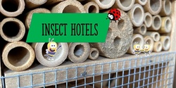 Banner image for Insect Hotels
