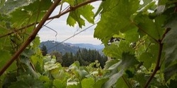 Banner image for Californian Wines: A Masterclass [WA]