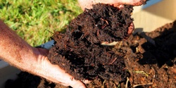 Banner image for Worm Farming & Composting