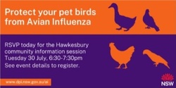 Banner image for Protect your pet bird from avian influenza