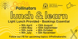Banner image for Lunch & Learn at The Hive