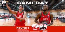 Banner image for NBL1 Diamond Valley Eagles vs Eltham Wildcats