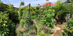 Banner image for A tour of The Plummery: intensive urban food garden