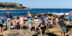 Banner image for Rockpool Ramble at Little Bay - 23 April 2024