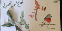 Banner image for Intro to Nature Journaling