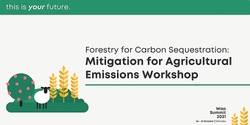 Banner image for Forestry for Carbon Sequestration: Mitigation for Agricultural Emissions Workshop