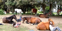 Banner image for Kids 'Life Skills' Residential Horse Camp: Building Confidence Through Equine Learning