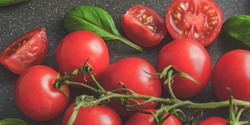 Banner image for Traditional Tomato Passata Experience 