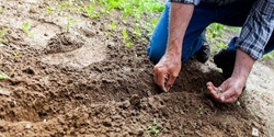 Banner image for Thrifty Gardening- CoW Sustainable Communities Workshop Series