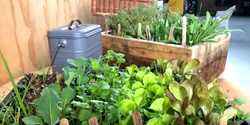 Banner image for Seed Sowing & Container Gardening in Grey Lynn (remote coaching during lockdown)