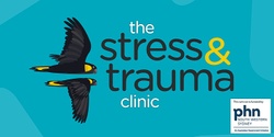Banner image for Trauma Informed Practice for Professionals