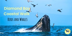 Banner image for Diamond Bay Coastal Walk: Birds and Whales - August