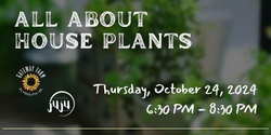 Banner image for All About House Plants