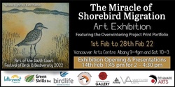 Banner image for The Miracle of Shorebird Migration Art Exhibition Opening Albany 