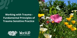 Banner image for Working with Trauma - Fundamental Principles of Trauma Sensitive Practice (Online)