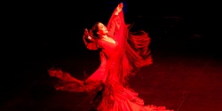 Banner image for Senes Flamenco Trio 
