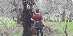 Banner image for Forest Therapy Walk at Darebin Parklands 19th May 2024, 8am